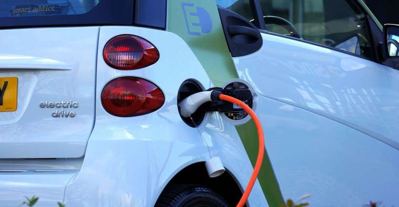 Cropped Deco 113130 1662017504